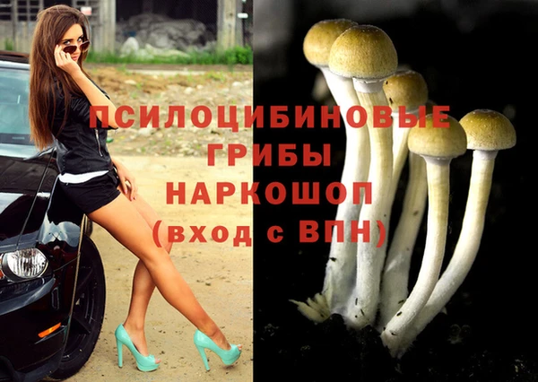 амф Бугульма