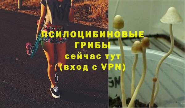 MDMA Premium VHQ Бородино