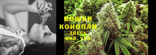 шишки Богданович